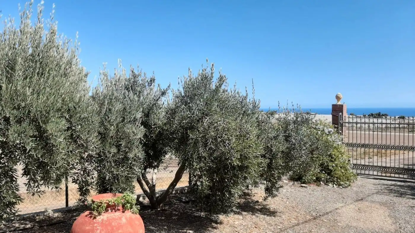 Haus oder Chalet zum Verkauf in Paraje Cuesta de Gos, 38, Tébar - Los Arejos