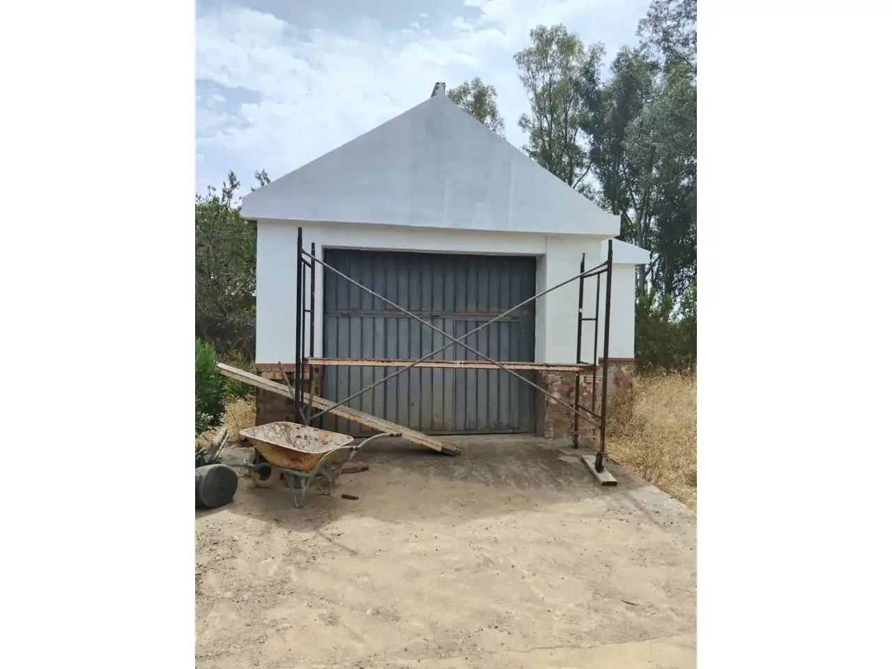 Vista exterior de Casa o chalet en venta en Carmona con Jardín privado y Terraza