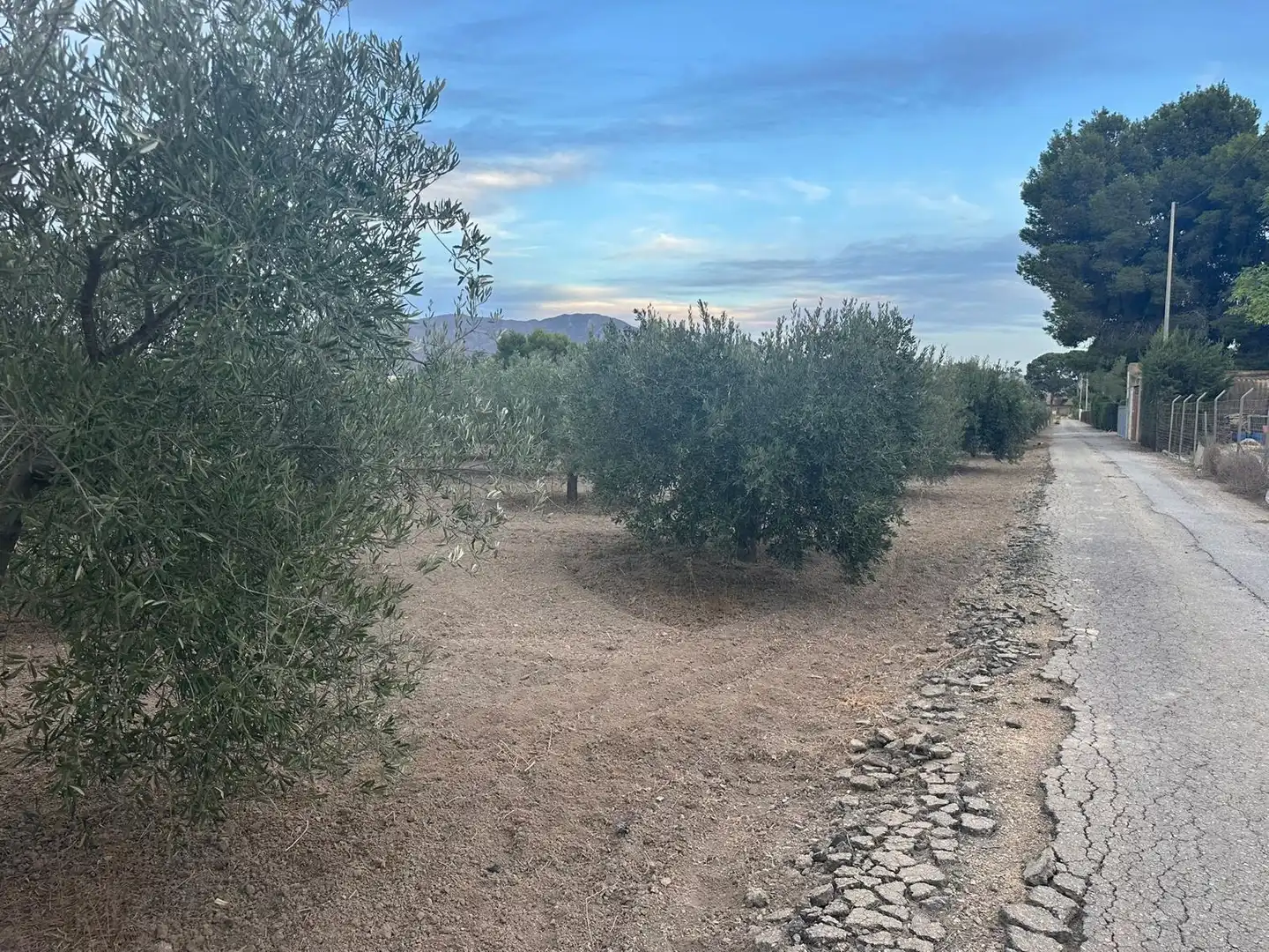 Terreno en venta en Alhama de Murcia