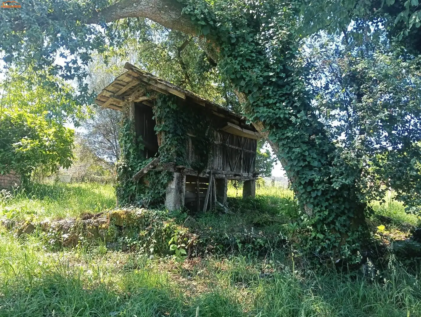 Vista exterior de Casa o xalet en venda en Salvaterra de Miño amb Balcó