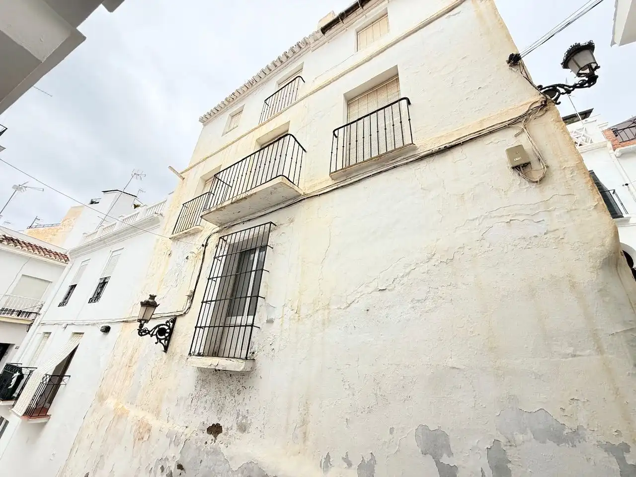 Vista exterior de Finca rústica en venta en Torrox