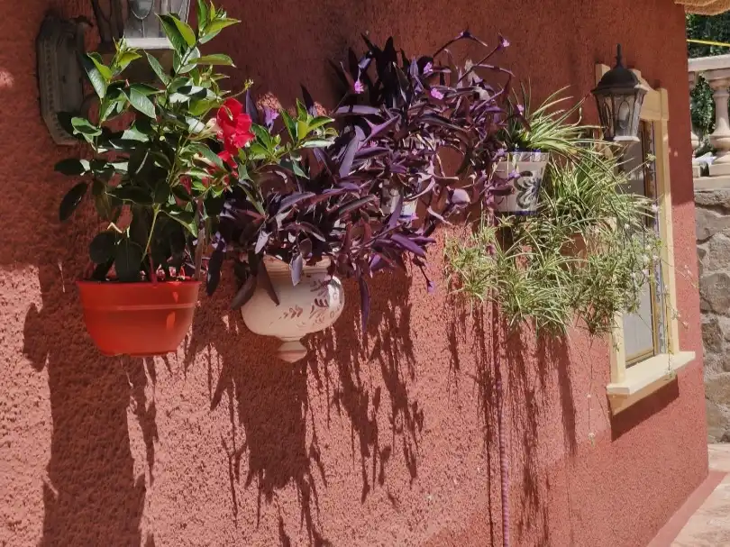 Detached house with pool for sale in Calle del Tossal 4, imagen 8