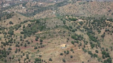 Foto 3 de Finca rústica en venta en Avenida Juan Carlos I, Almogía, Málaga