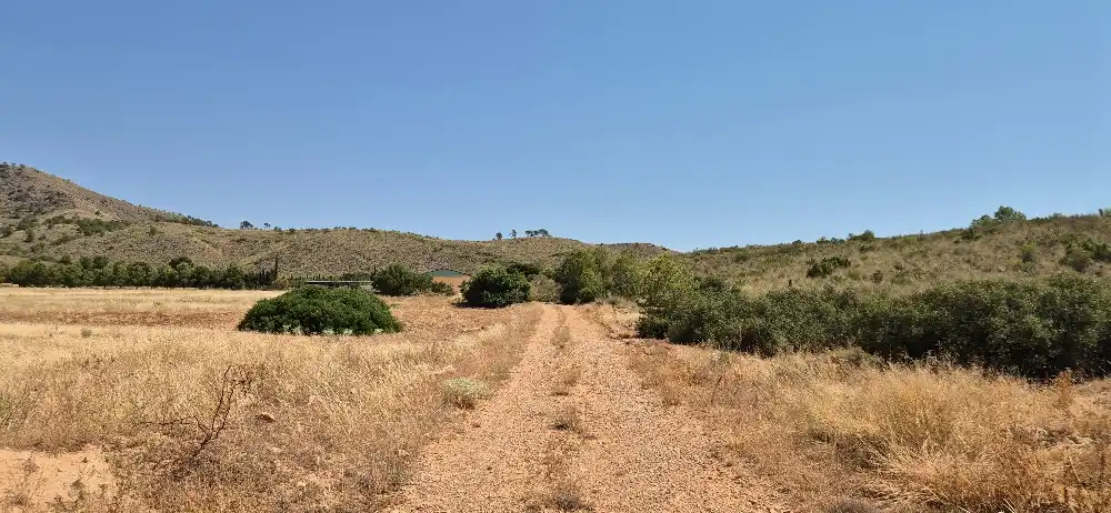 Terreno en venta en Hellín