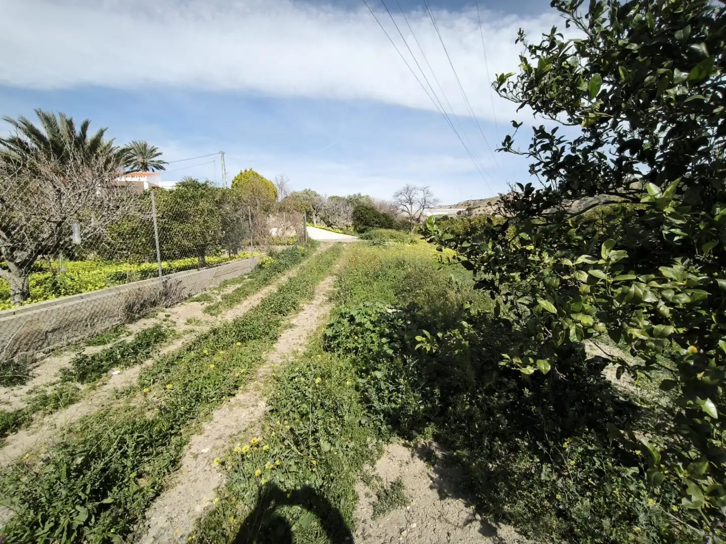 Lands and plots for sale in Gádor, imagen 27