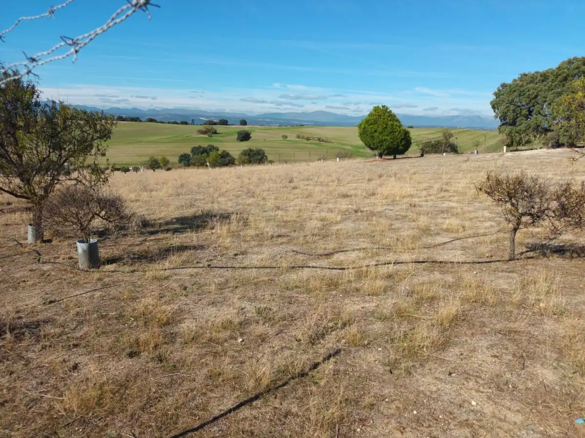 Finca rústica en venta en Brunete