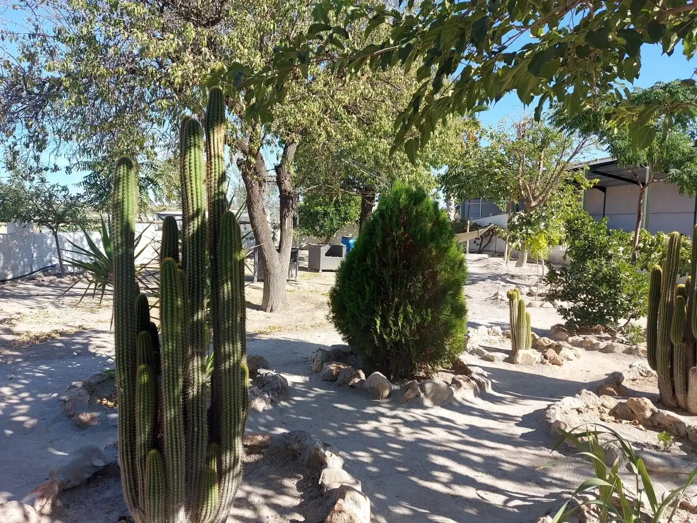 Local comercial en venda a Baza