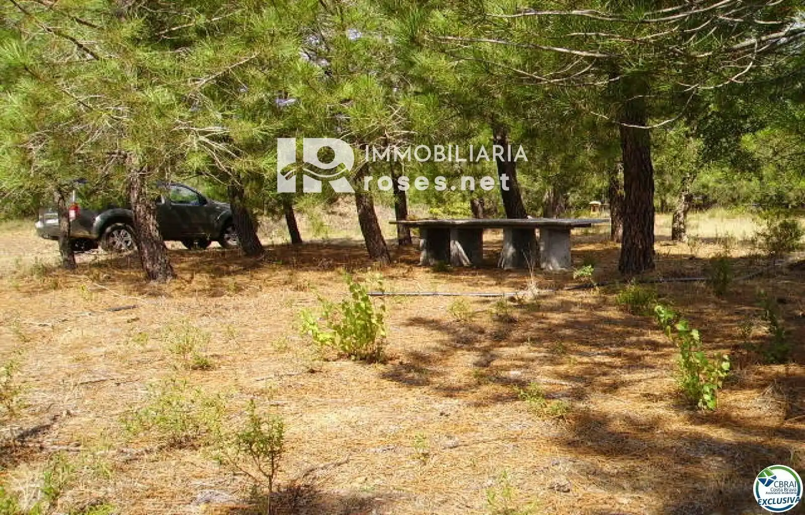 Rural land for sale in Butaros, imagen 15