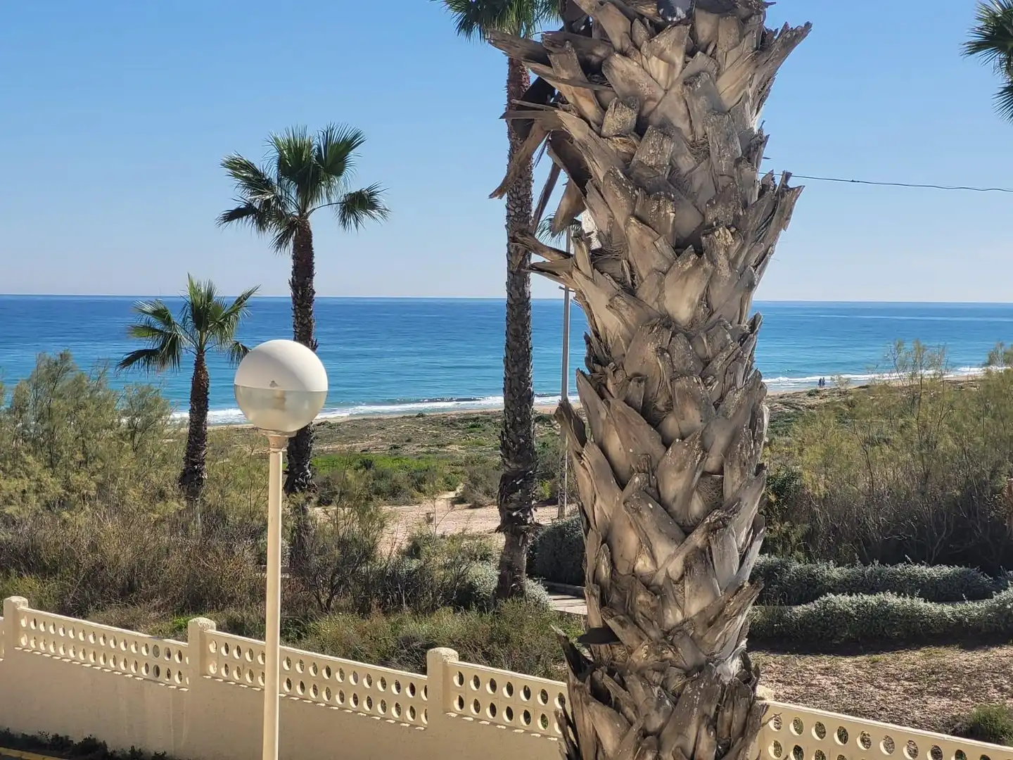 Vista exterior de Casa adosada de lloguer en Alicante / Alacant amb Aire condicionat, Calefacció i Jardí privat
