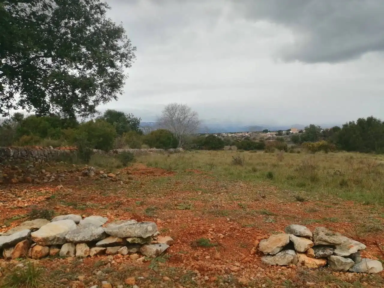 Rural land for sale in Calle Camino de Godall, imagen 7