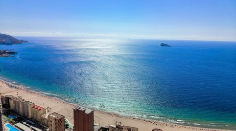 Photo 3 of Apartments for sale in Avenida Mexico, Playa Poniente, Benidorm