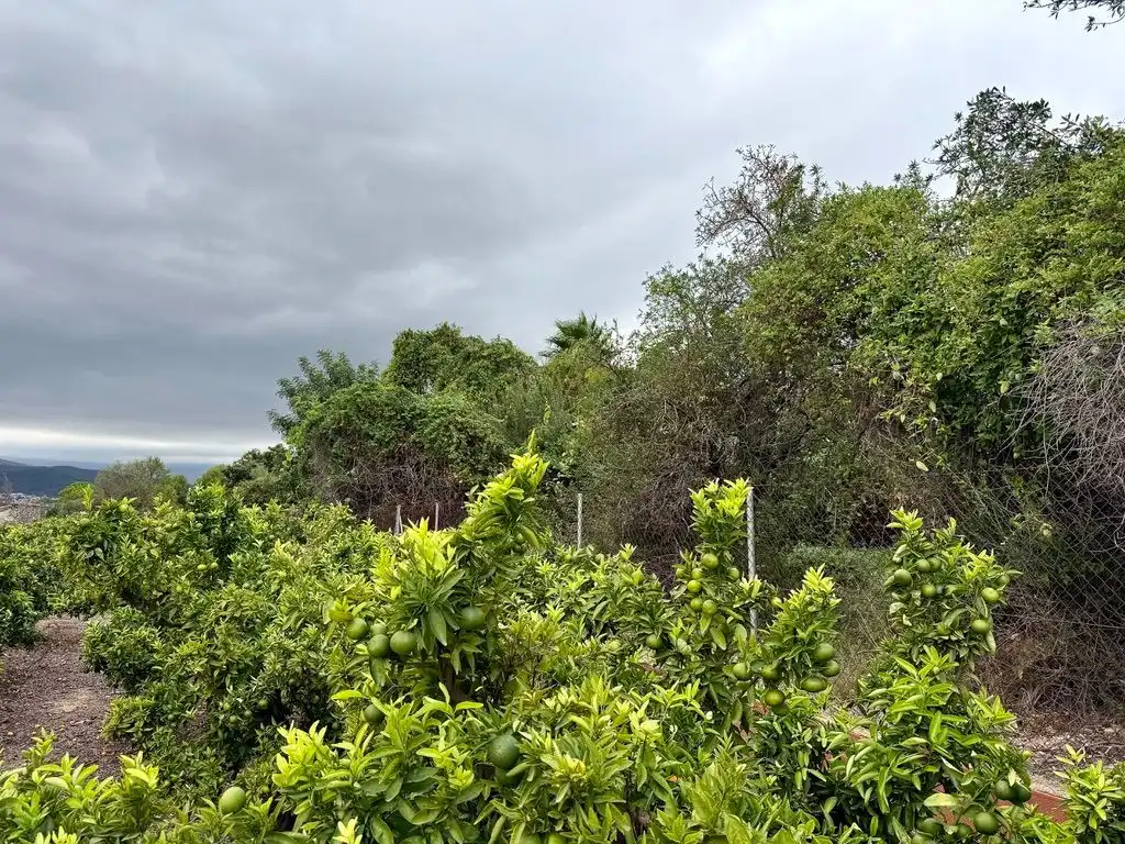 Casa rústica amb jardí en venda a Beniarbeig, imagen 23