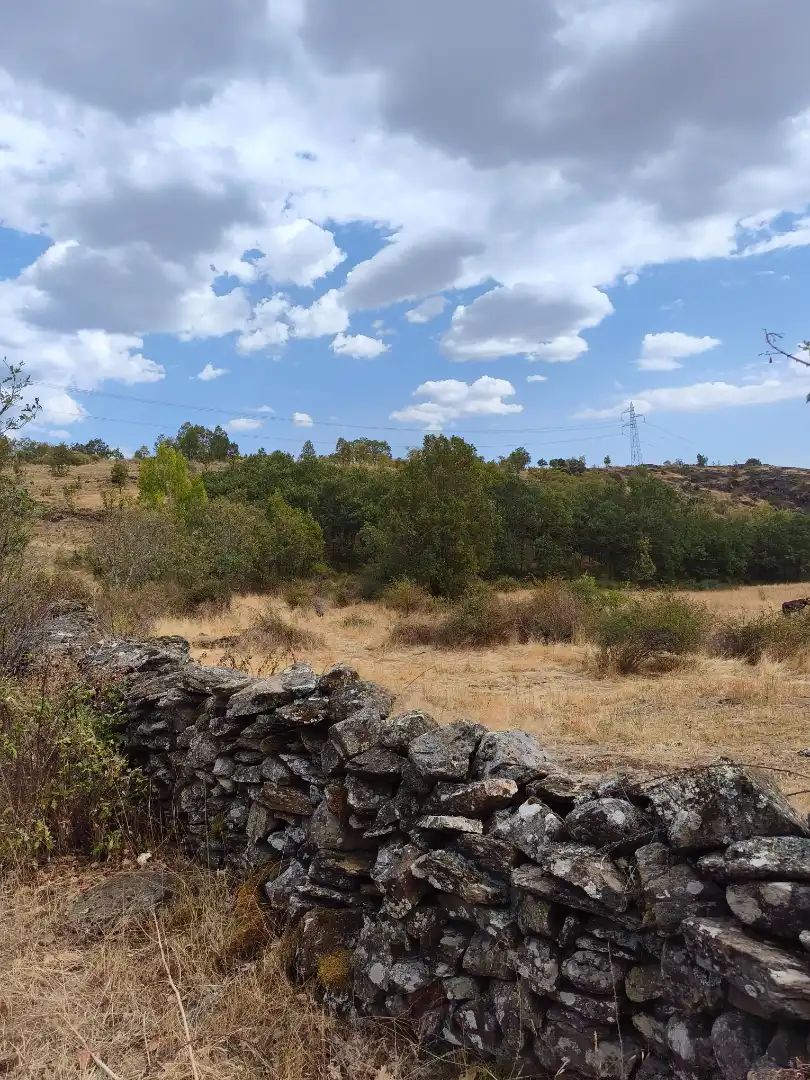 Terreno en venta en Piñuécar-Gandullas