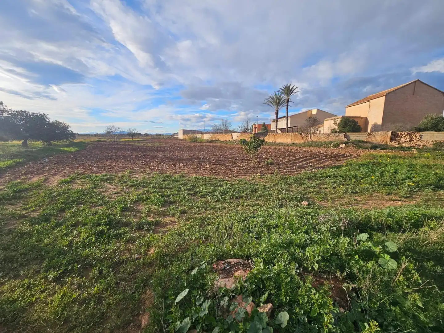 Casa rústica en venta en Las Cánovas - Cuevas de Reyllo, imagen 3