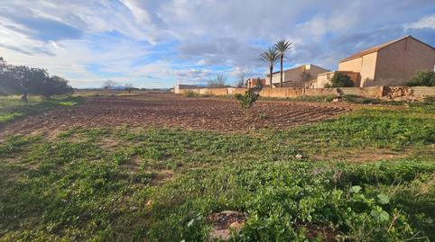 Photo 3 of Country house for sale in Las Cánovas - Cuevas de Reyllo, Fuente Álamo de Murcia