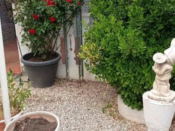 Habitatge amb jardí en venda a BARRIO NUEVO SAN CLEMENTE 0, imagen 43