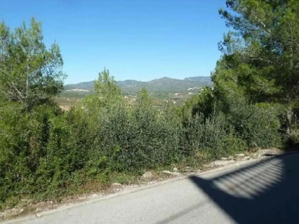 Terreno rustico in vendita a CINCA (DEL), imagen 2