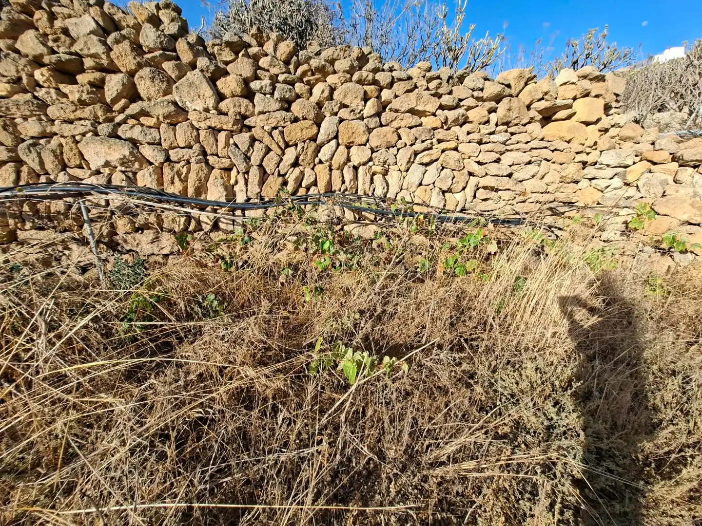 Terreno rustico in vendita a Arico, imagen 8