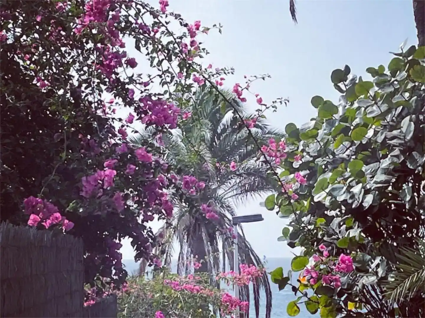 Jardín de Local en venta en San Bartolomé de Tirajana con Aire acondicionado y Amueblado