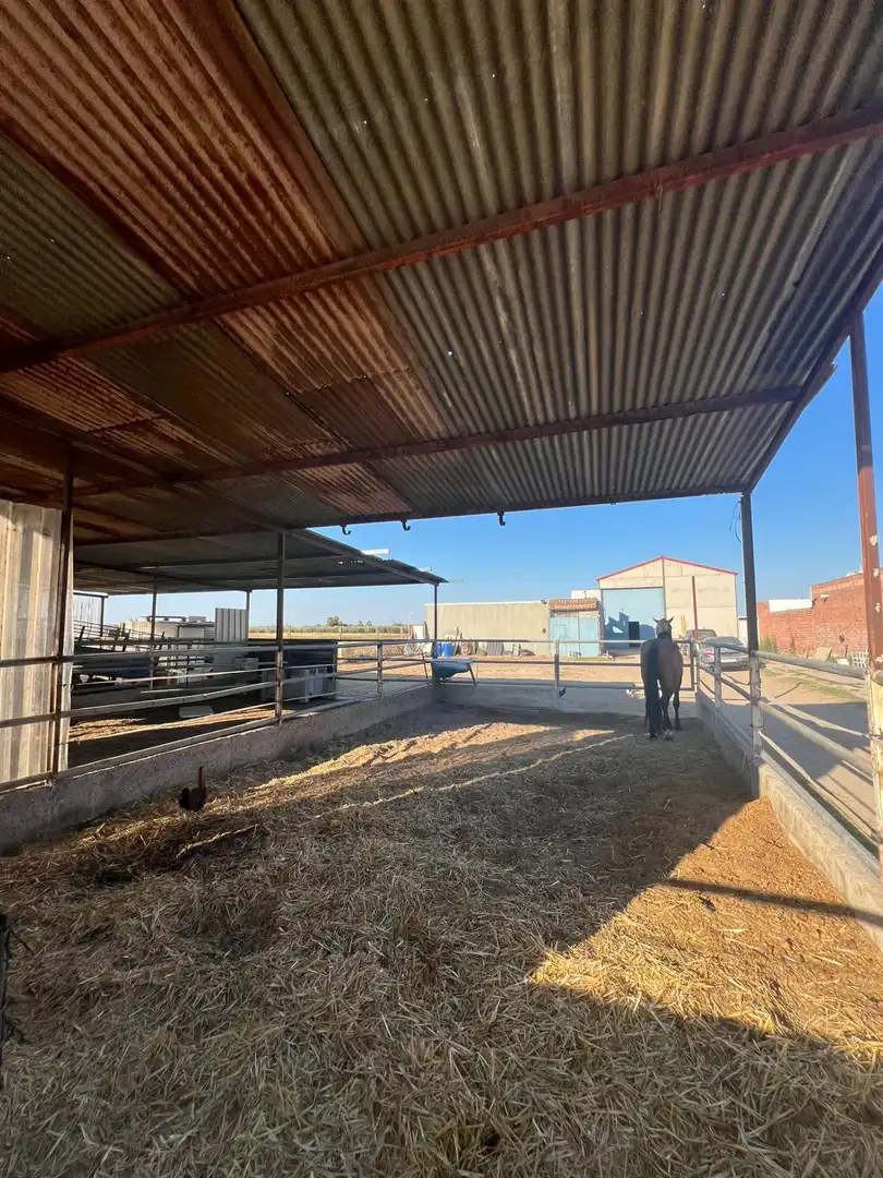 Vista exterior de Finca rústica en venda en Los Palacios y Villafranca
