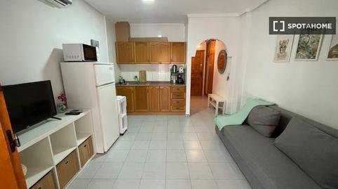 Foto 3 de Estudi per a compartir a Avenida Habaneras - Curva de Palangre, Torrevieja