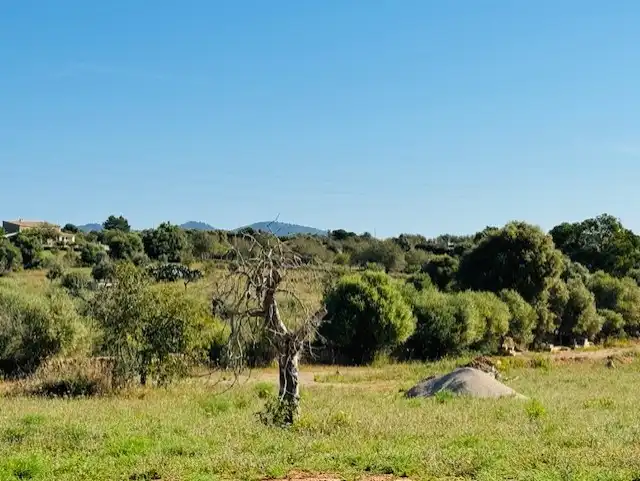 Land for sale in Manacor