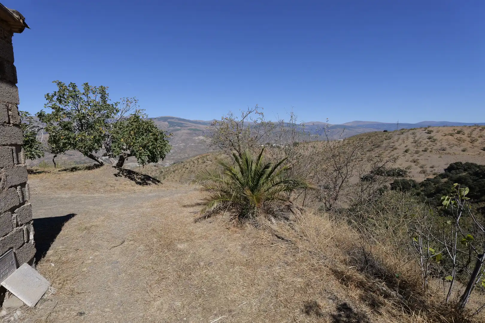 Finca rústica en venta en Cádiar