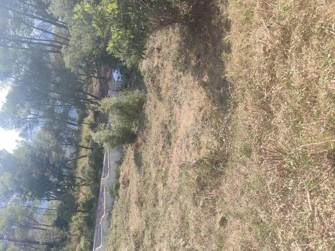 Wohnbaugrundstück zum Verkauf in Carrer Garraf 102, imagen 6