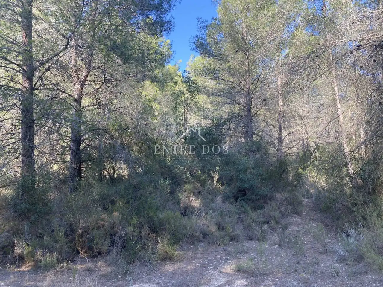 Rural land for sale in 18 parcela 79, imagen 10