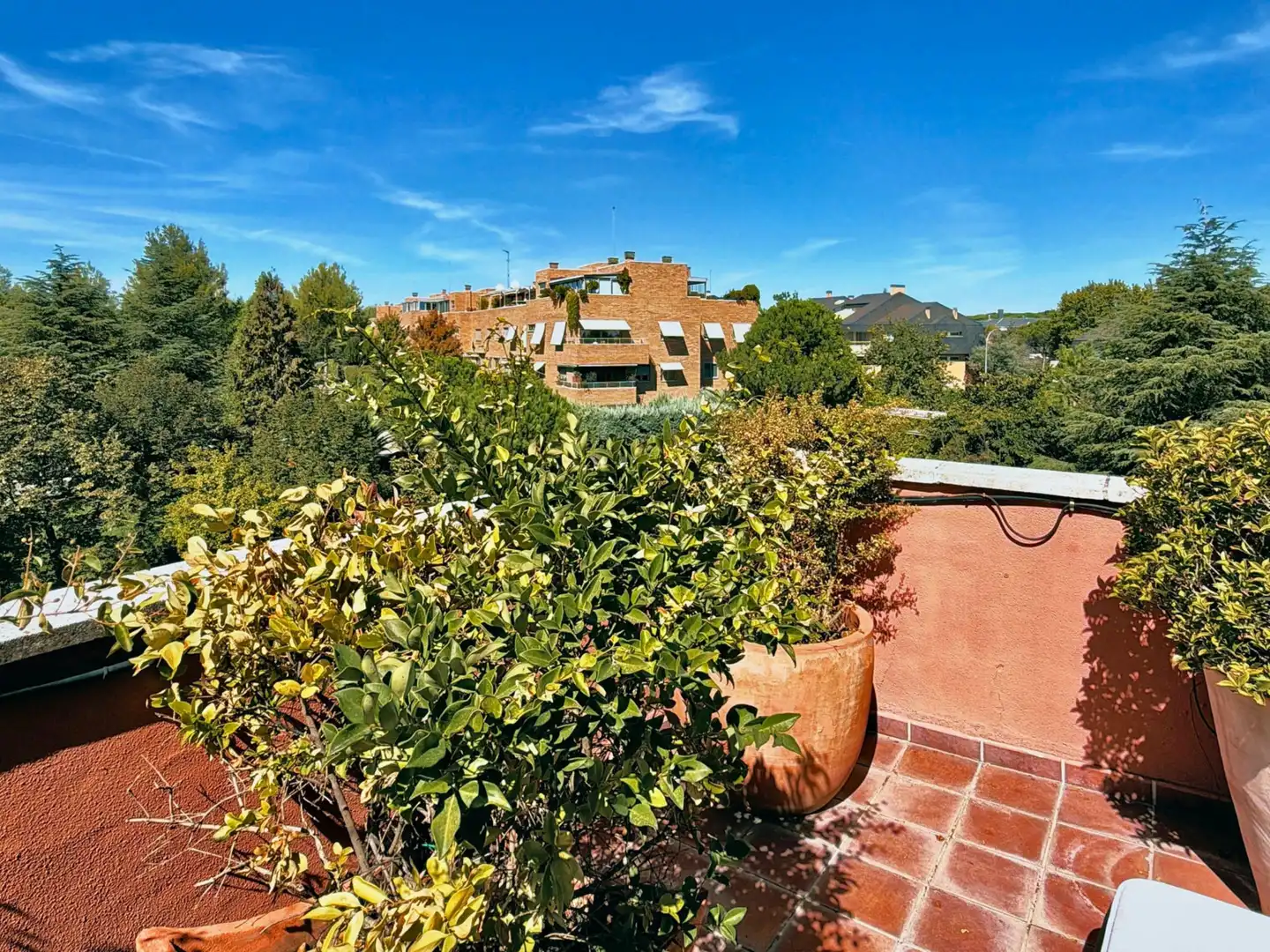 Penthouse mit Terrasse zum Verkauf in Carretera MEDIODIA, imagen 60