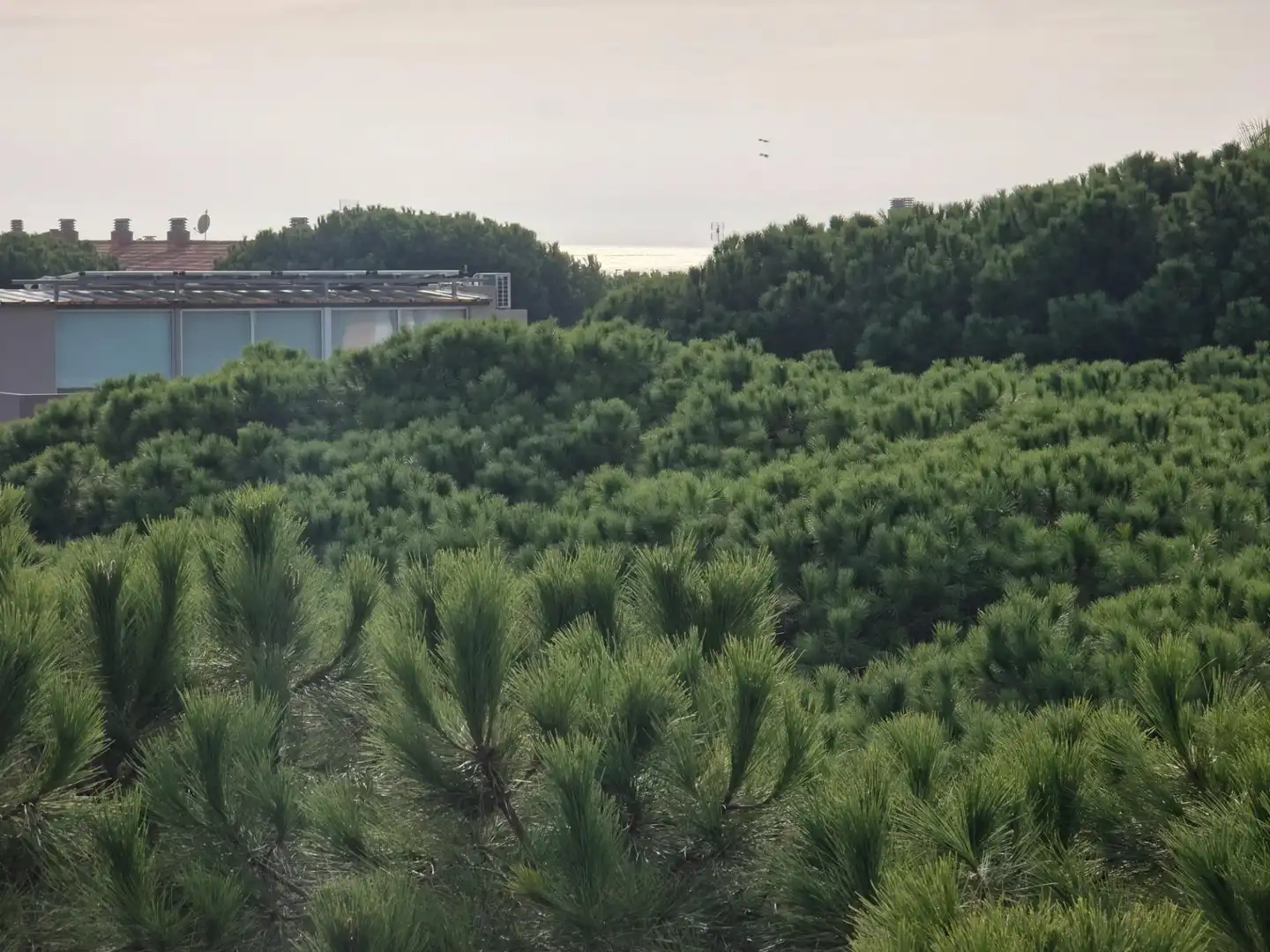 Àtic en venda en Gavà amb Calefacció, Jardí privat i Terrassa