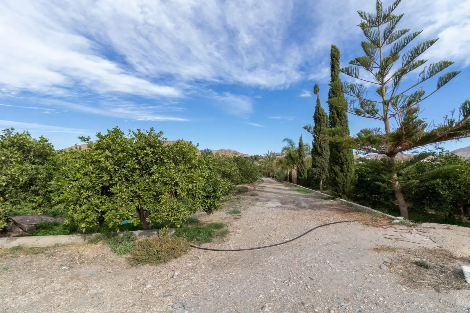 Land for sale in Santa Fe de Mondújar
