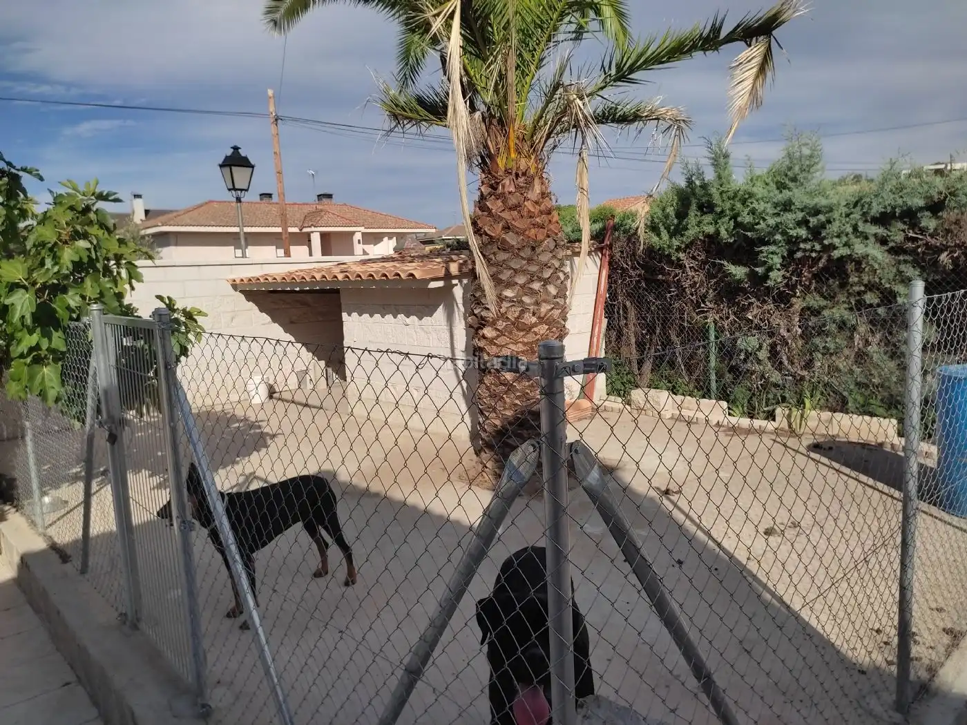 Villa con giardino in vendita a Calle Daoiz y Velarde 130, imagen 23