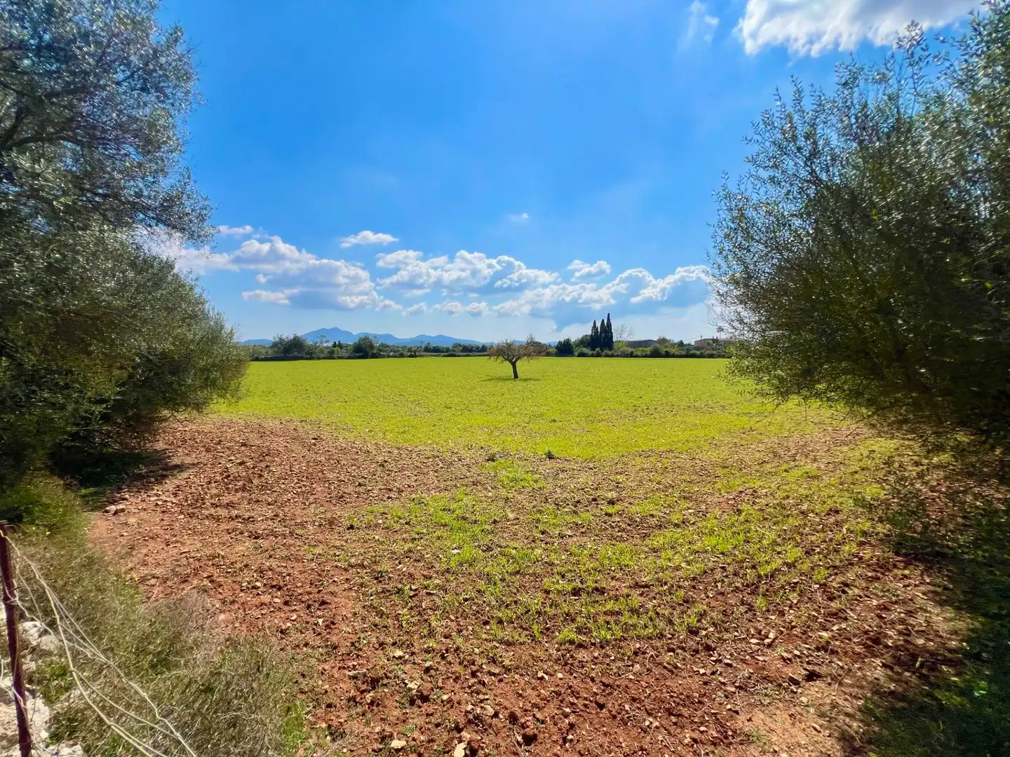 Terreny residencial en venda a Porreres, imagen 9