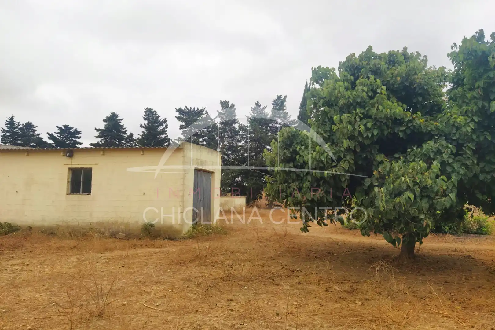 Terrenys i solars en venda a Los Franceses – La Vega, imagen 6