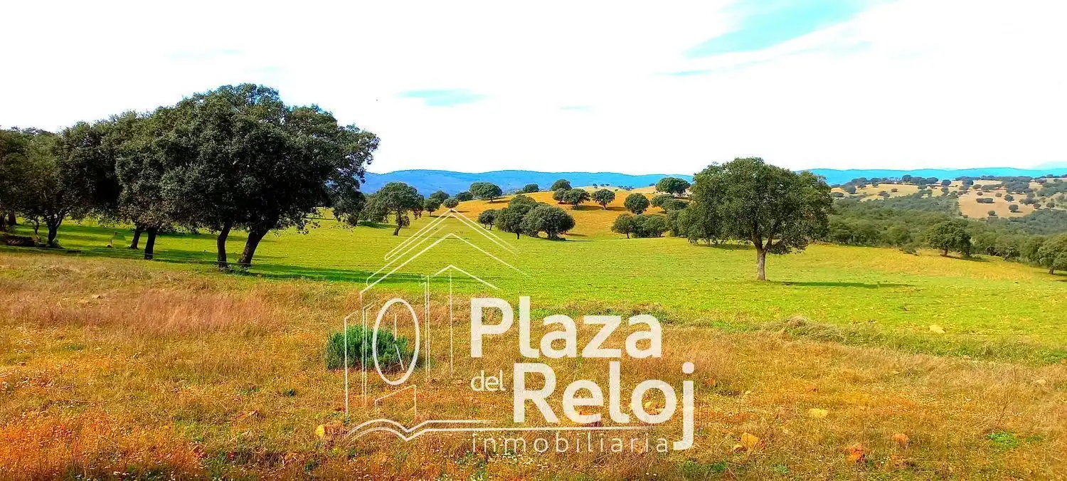 Terreno rustico in vendita a CERVANTES 0, imagen 4