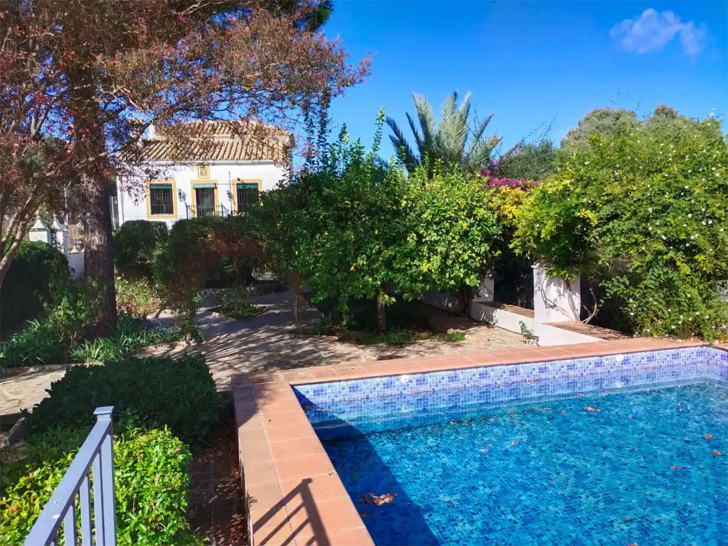 Jardí de Finca rústica en venda en Hornachuelos amb Jardí privat, Piscina i Moblat