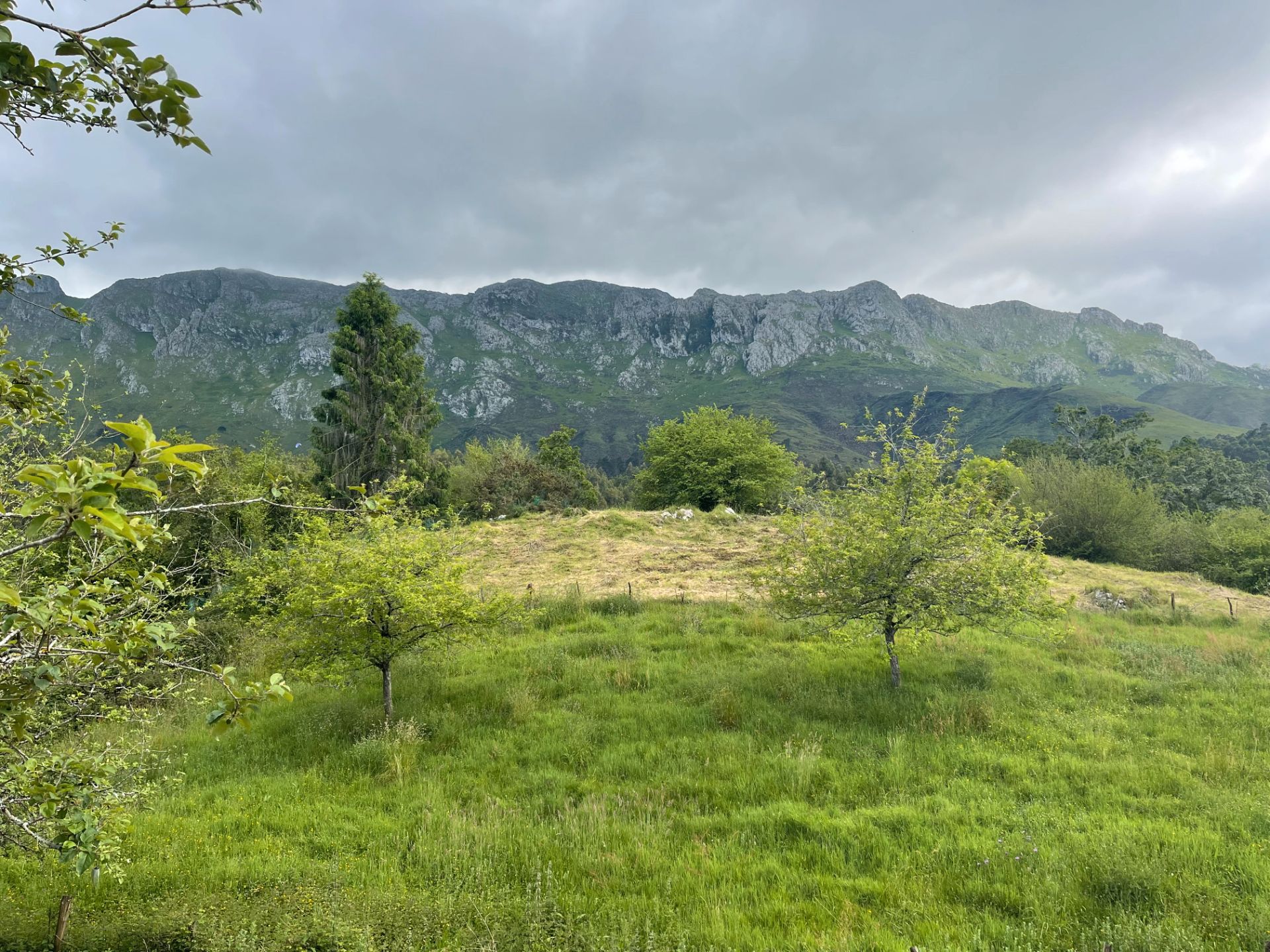 Land for sale in Llanes