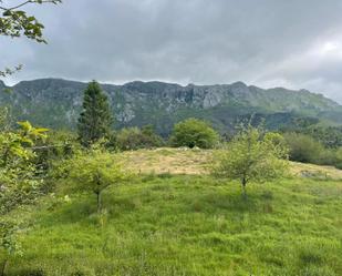Grundstücke zum verkauf in Llanes