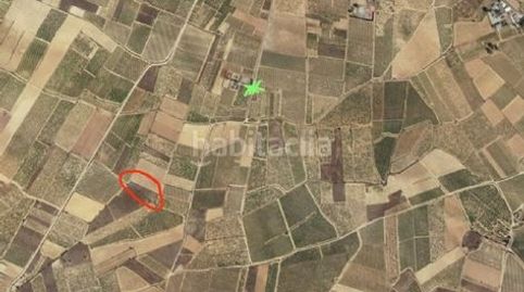 Viña de secano sin cultivo