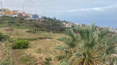 Foto 4 de Pis en venda a Toscas de la Iglesia, Santa Úrsula pueblo, Santa Cruz de Tenerife