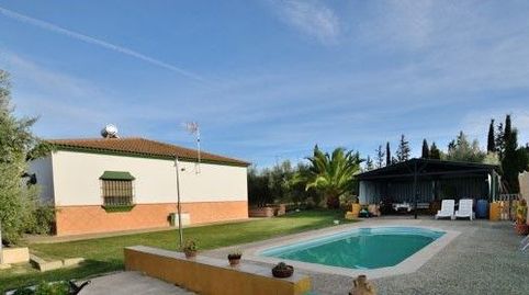 "Finca rústica a 5 minutos del pueblo blanco de Arriate y a 10 minutos de la histórica ciudad de Ronda., imatge 3