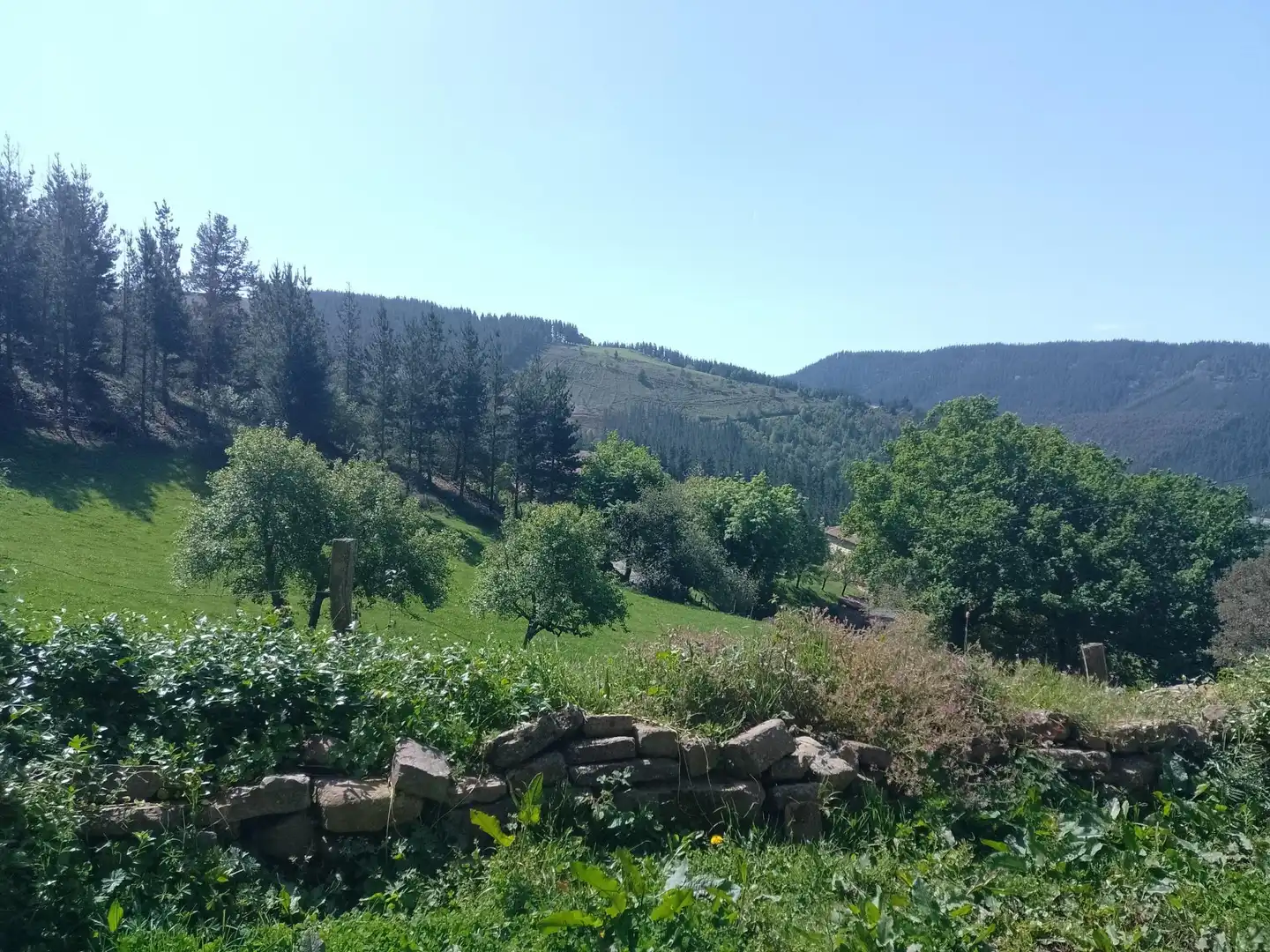Finca rústica en venta en Amurrio con Calefacción