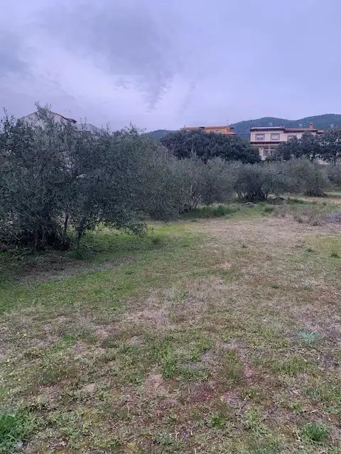Terreni e lotti in vendita a Calle la Colmena, imagen 2