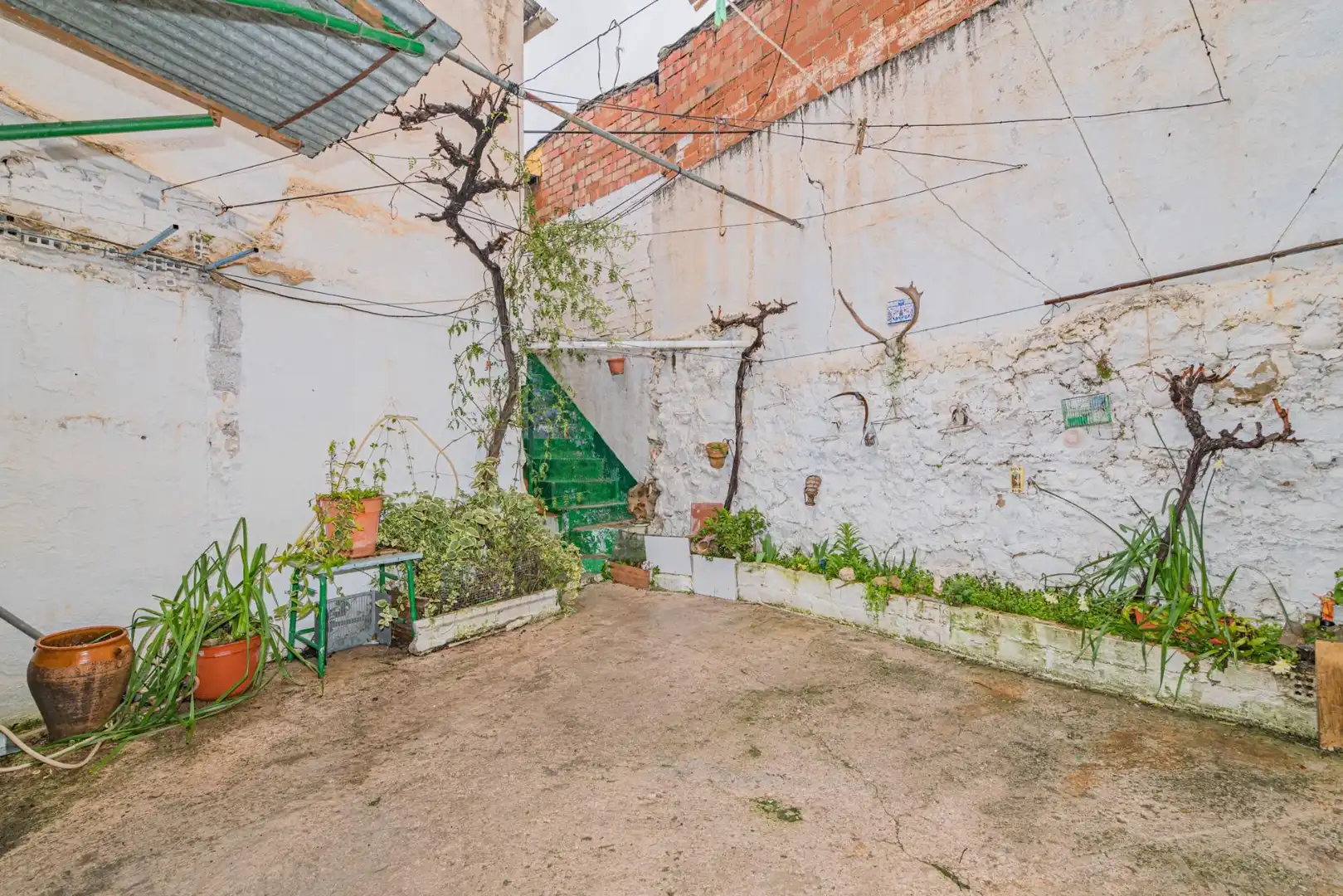 Garden of Country homes for sale in Campillo de Arenas