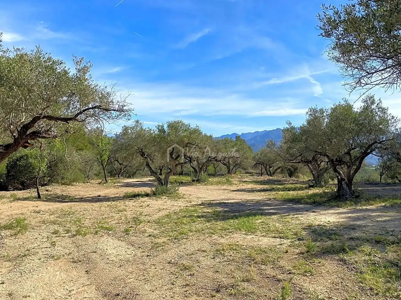 Terrain rustique à vendre à La Baixada, imagen 27