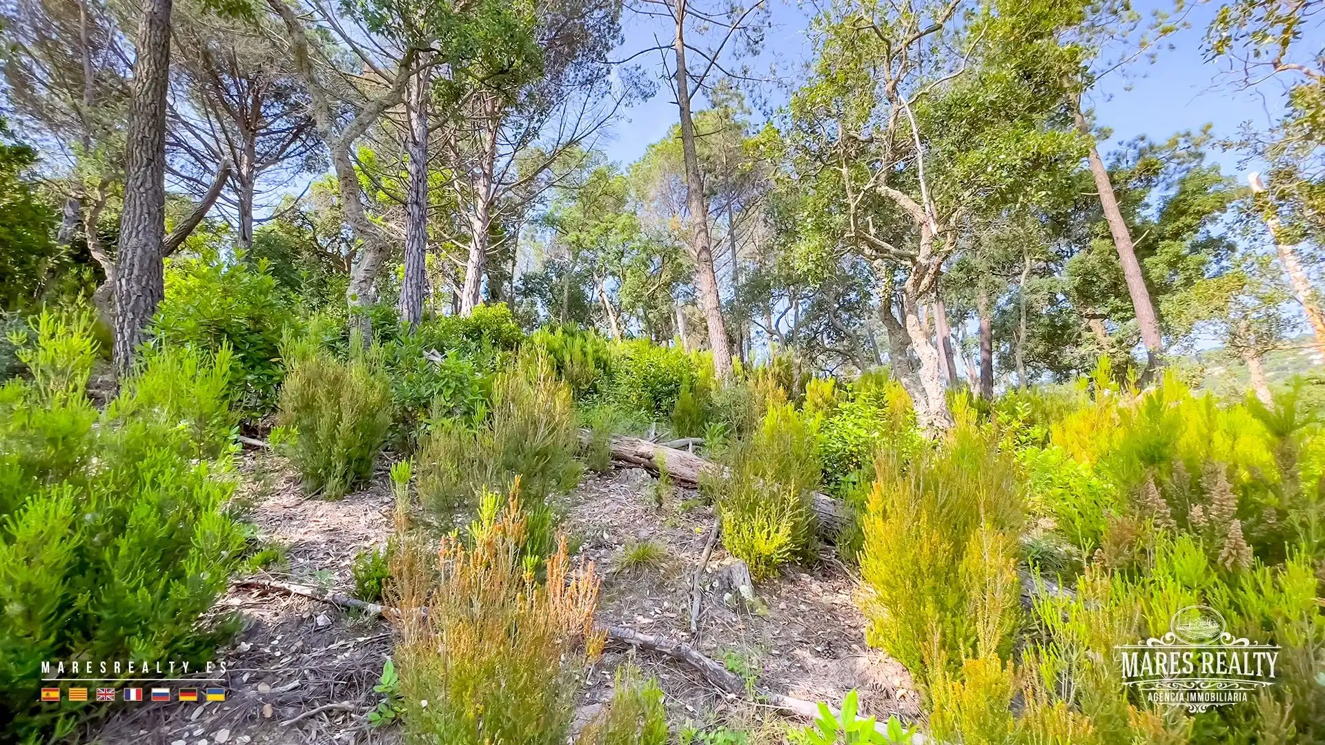 Grundstücke und Bauplätze zum Verkauf in Serra Brava, imagen 11