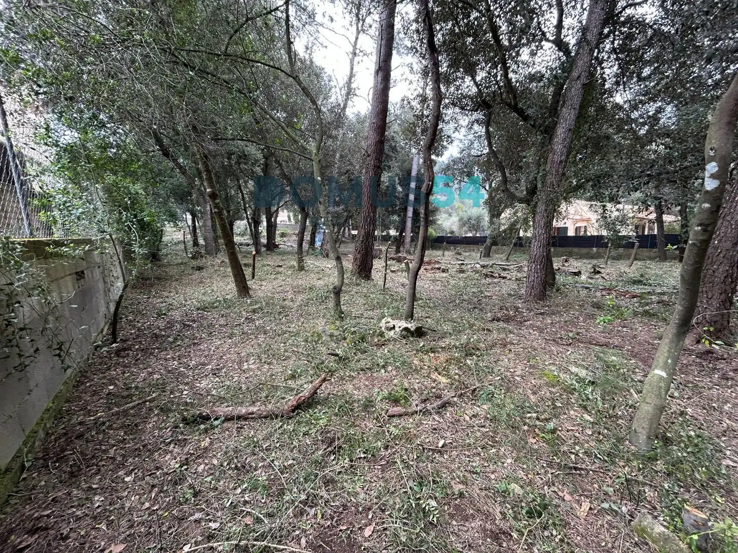 Rural land for sale in Sa Pobla, imagen 2