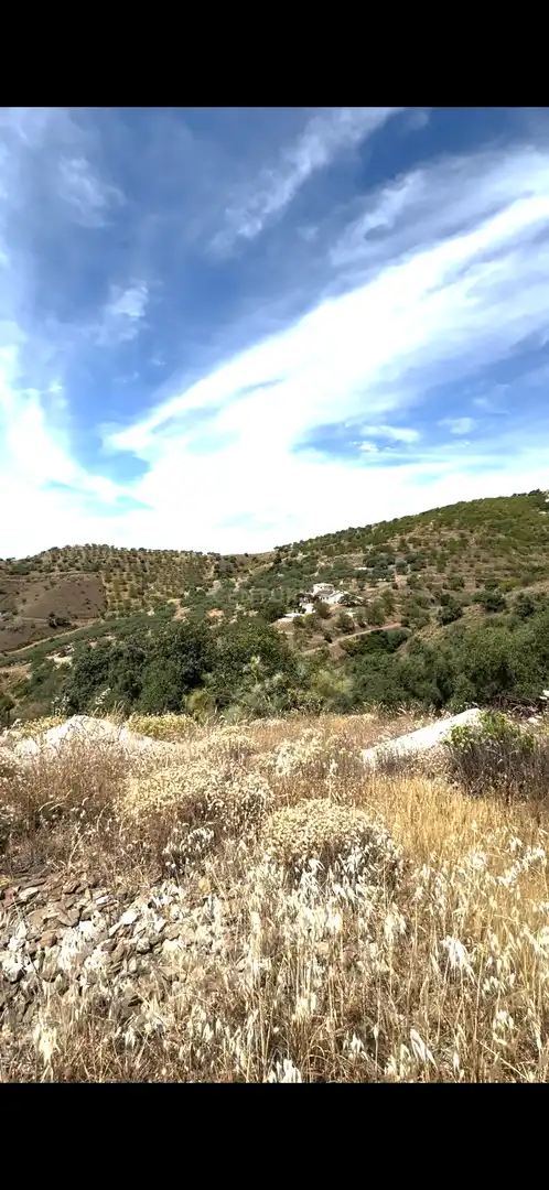 Land for sale in Sedella