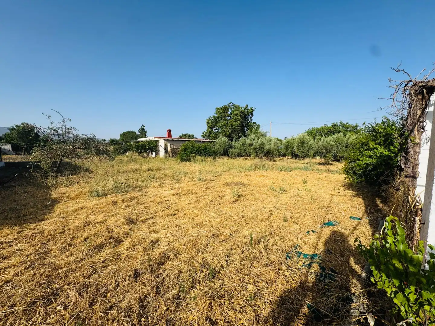 Terreno en venta en Granada